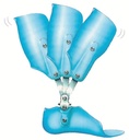 Kid-Dee-Lite Ankle Joint